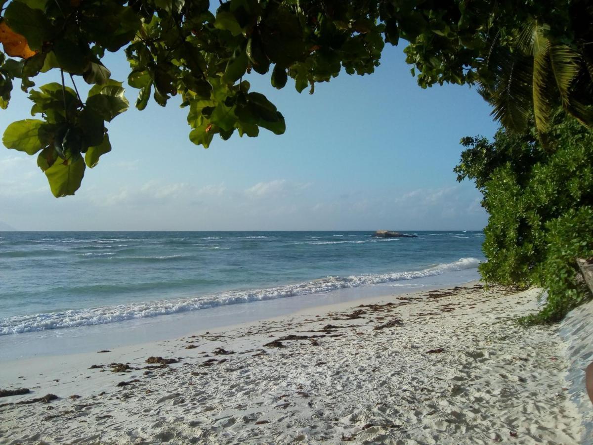 Corner Bay Apartments Beau Vallon,Mahe Виктория Экстерьер фото