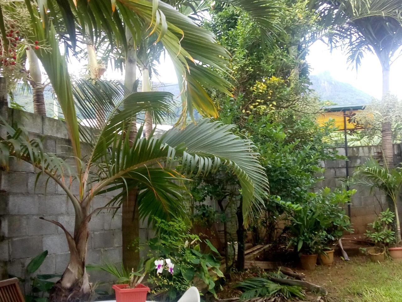 Corner Bay Apartments Beau Vallon,Mahe Виктория Экстерьер фото